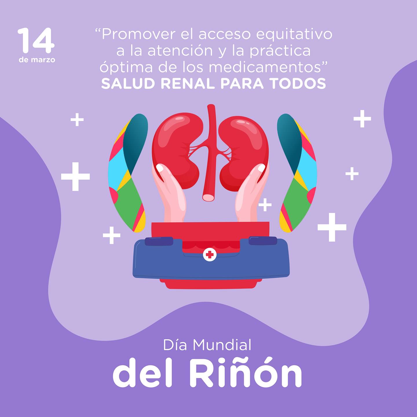 Día Mundial del Riñón – Imágenes de Vida Y Salud